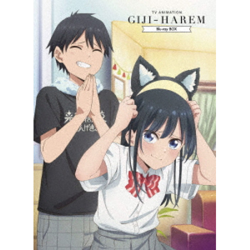 BD/TVアニメ/疑似ハーレム Blu-ray BOX(Blu-ray)