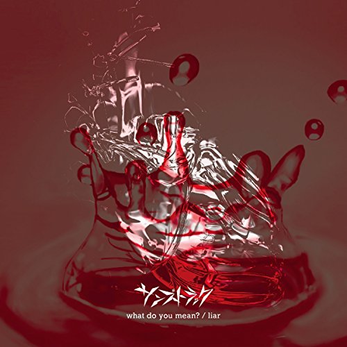 【取寄商品】CD/サンズトラック/what do you mean?/liar
