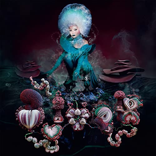 LP(30cm)/bjork/fossora