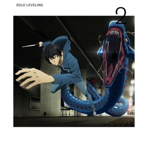 DVD/TVアニメ/俺だけレベルアップな件 Vol.2 (本編ディスク+特典ディスク) (完全生産限定版)の通販は