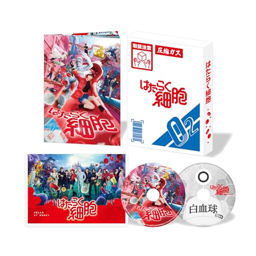 僕とスターの99日 DVD BOX(中古品)