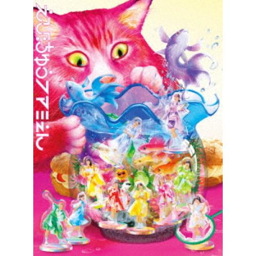 BD/私立恵比寿中学/エビ中 夏のファミリー遠足 略してファミえん