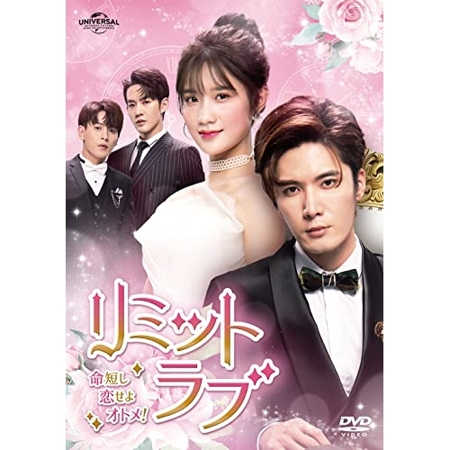 DVD/海外TVドラマ/リミット・ラブ〜命短し恋せよオトメ!〜 DVD-SET2
