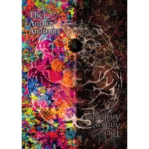 【取寄商品】DVD/趣味教養/華Doll* The Anthos* Anatomy (ファンブック)