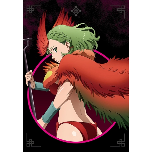 BD/TVアニメ/十二大戦 ディレクターズカット版 2(Blu-ray)の通販は 7,480円