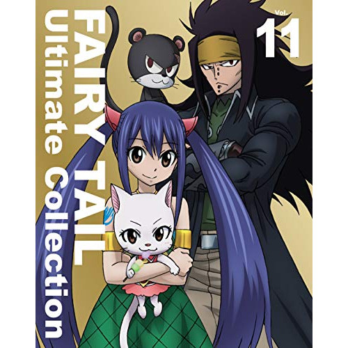 BD/TVアニメ/FAIRY TAIL Ultimate Collection Vol.11(Blu-ray)