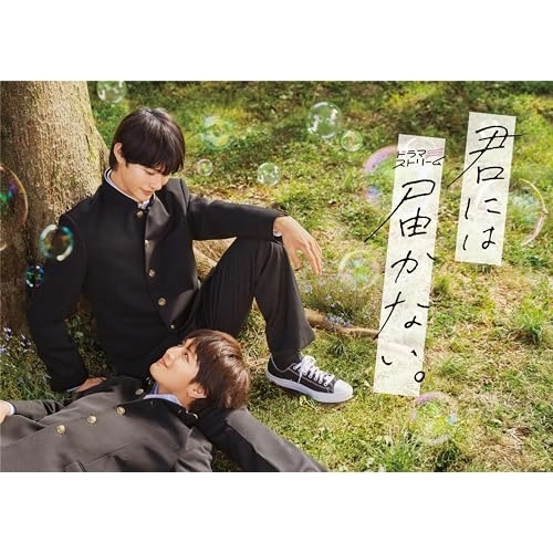 取寄商品】BD/国内TVドラマ/君には届かない。 Blu-ray BOX(Blu-