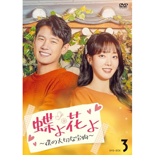 私だけのスーパースター～Ｍｒ．　Ｆｉｇｈｔｉｎｇ～　ＤＶＤ－ＢＯＸ３ Amazon.co.jp: 私だけのスーパースター~Mr. Fighting~ DVD-BOX3