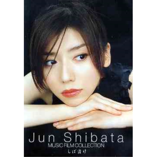 DVD/柴田淳/JUN SHIBATA MUSIC FILM COLLECTION しば漬けの通販はau