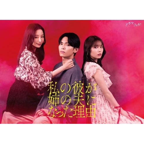 【取寄商品】BD/国内TVドラマ/私の彼が姉の夫になった理由 Blu-ray BOX(Blu-ray)