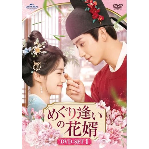 アストリッドとラファエル 文書係の事件録 シーズン5 DVDBOX 【DVD