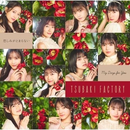 CD/つばきファクトリー/My Days for You/悲しみがとまらない (CD+Blu-ray) (初回生産限定盤SP)