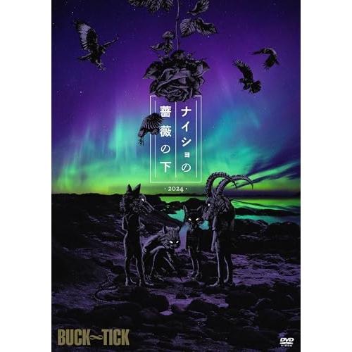 DVD/BUCK-TICK/ナイショの薔薇の下 2024 (通常盤)
