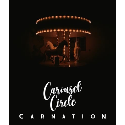 CD/カーネーション/Carousel Circle (2CD+Blu-ray(Blu-ray Audio+Blu-ray Video)) (初回押さえる盤)