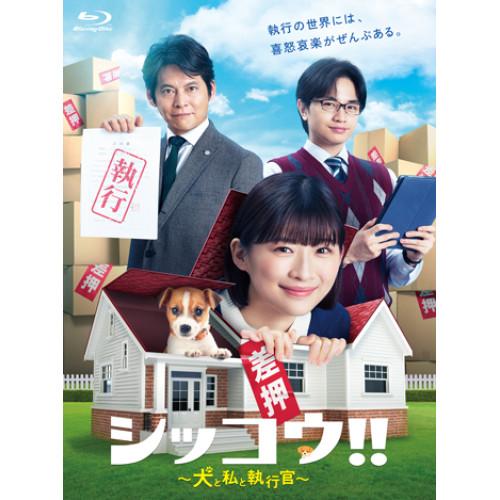 BD/国内TVドラマ/シッコウ!!〜犬と私と執行官〜 Blu-ray BOX(Blu-ray)