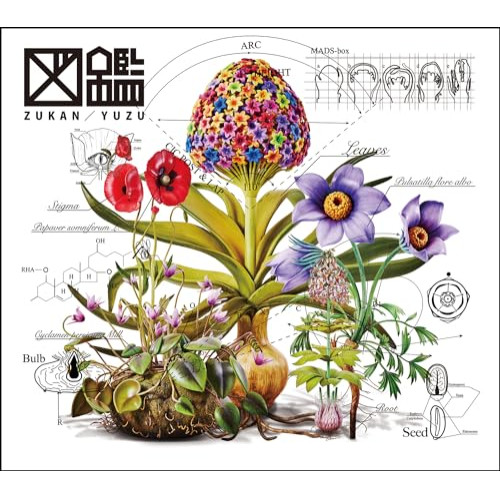 CD/ゆず/図鑑 (CD+Blu-ray) (初回生産限定盤)