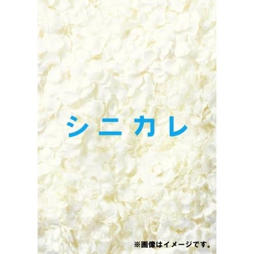 BD/国内オリジナルV/シニカレ完全版 ブルーレイBOX(Blu-ray) (本編ディスク3枚+特典ディスク1枚)
