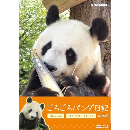 【取寄商品】BD/趣味教養/ごろごろパンダ日記 コンプリートBlu-ray BOX(Blu-ray) (通常版)