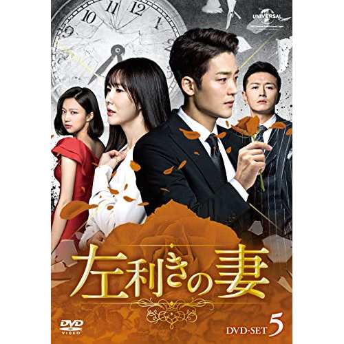 DVD/海外TVドラマ/左利きの妻 DVD-SET5