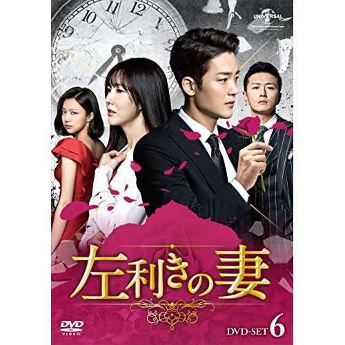 DVD/海外TVドラマ/左利きの妻 DVD-SET6