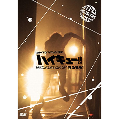 【取寄商品】DVD/ドキュメンタリー/ハイパープロジェクション演劇「ハイキュー!!」 Documentary of ”頂の景色” (本編ディスク1枚+特典ディスク2枚)
