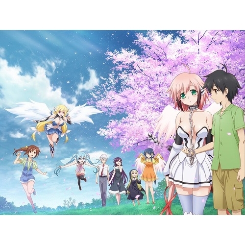 DVD/劇場アニメ/そらのおとしものFinal 永遠の私の鳥籠 (限定版)の通販は