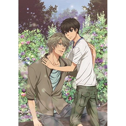 SUPER LOVERS 〈Blu-ray限定版〉4本セット SUPER LOVERS 〈Blu-ray限定版〉4本セット