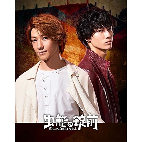 DVD/国内TVドラマ/虫籠の錠前 DVD BOX (完全生産限定版) / ANZB-10151