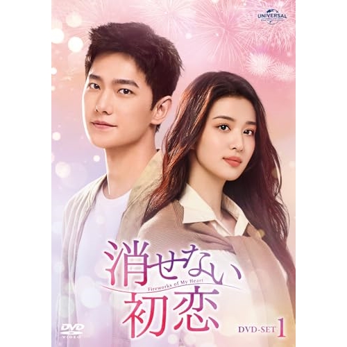 DVD/海外TVドラマ/消せない初恋 DVD-SET1 / GNBF-5863