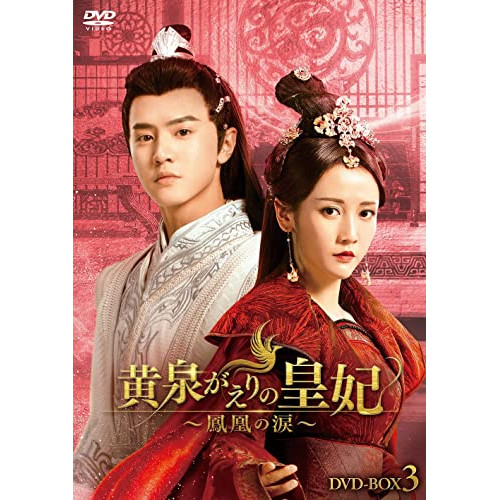 DVD/国内TVドラマ/REPLAY&DESTROY DVD-BOX (本編ディスク2枚+特典