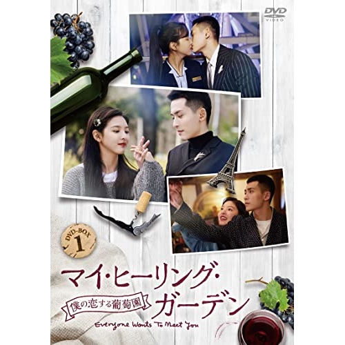 【取寄商品】DVD/海外TVドラマ/マイ・ヒーリング・ガーデン〜僕の恋する葡萄園〜 DVD-BOX1