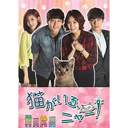 DVD/海外TVドラマ/猫がいる、ニャー! DVD-BOXII