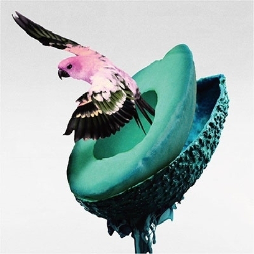 CD/神はサイコロを振らない/心海 (CD+2Blu-ray) (初回限定盤B/最下層からの観測 & 事象の地平線 Live盤) / TYCT-69269