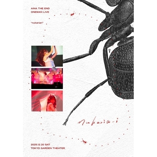 BD/SUPER BEAVER/LIVE VIDEO 6.5 Tokai No Rakuda Special in ”2023