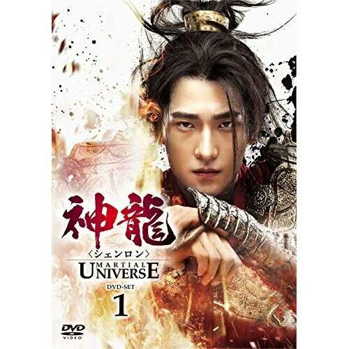 DVD/海外TVドラマ/神龍(シェンロン)-Martial Universe- DVD-SET1