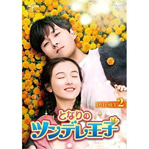 DVD/海外TVドラマ/となりのツンデレ王子 DVD-SET2