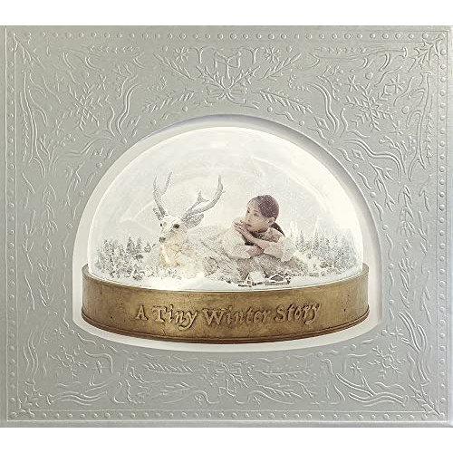 CD/南條愛乃/A Tiny Winter Story (2CD+DVD) (初回限定盤) / GNCA-1578