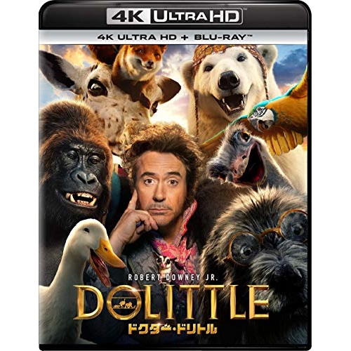 BD/ロバート・ダウニーJr./ドクター・ドリトル (4K Ultra HD Blu-ray+Blu-ray)の通販は