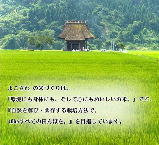 お中元・お歳暮・贈答用包装 新潟県認証 特別栽培米コシヒカリ よこさ