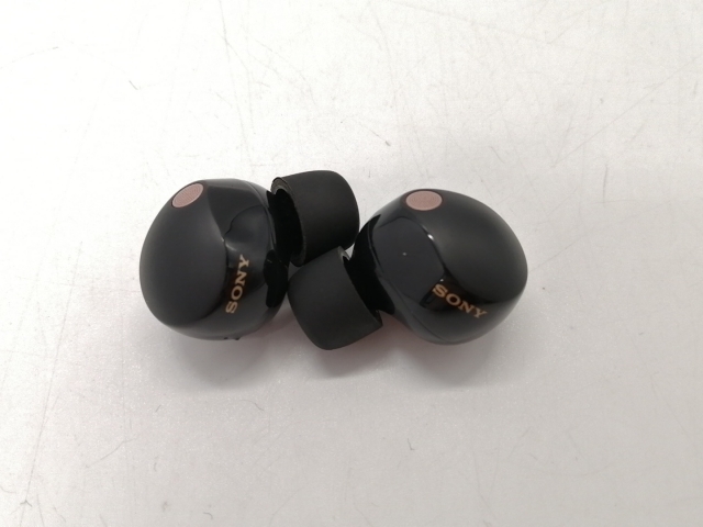 SONY WF-1000XM5 使用期間2ヶ月 SONY WF-1000XM5 使用期間2ヶ月 SONY WF-1000XM5 使用期間2ヶ月 SONY WF-