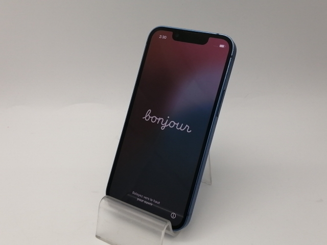 本格ミステリ＂モンキー・パズル＂ポーラ・ゴズリング著 原書&翻訳