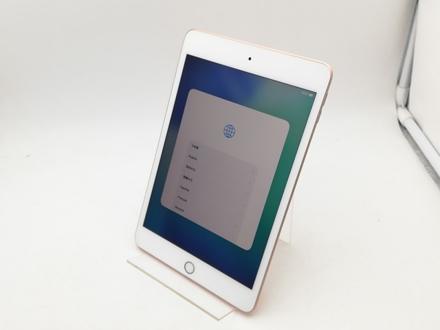 Apple iPad mini第5世代 スペースグレー 256GB 箱無し Apple