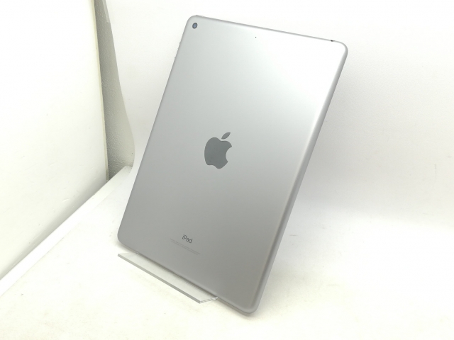 ジャンクiPad mini Wi‑Fi + Cellularモデル 256GB 【公式通販】