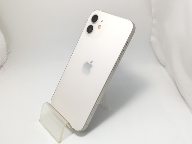 iPad Pro 第一世代 ジャンク ジャンク品】iPad Pro 11インチ（第1世代