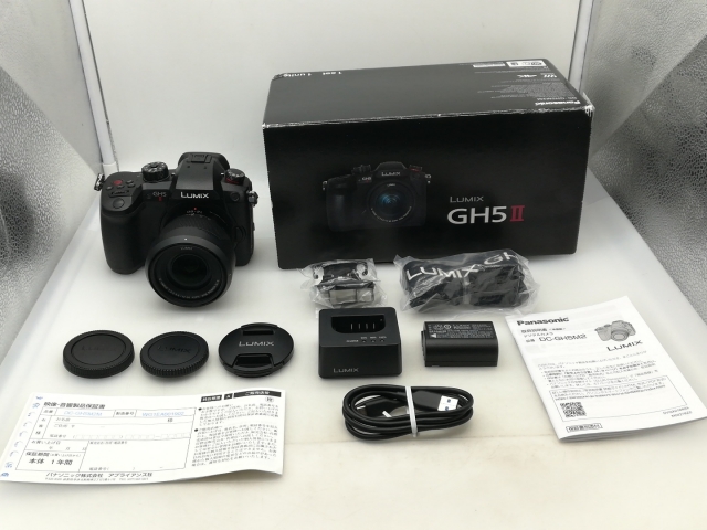 【中古】Panasonic LUMIX GH5II MキットDC-GH5M2M【大須】保証期間１ヶ月【ランクA】_8