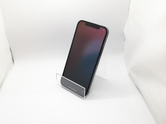 256GB 0 iPhone ブルー SIMロック解除済 SIMロック解除済み SIMフリー