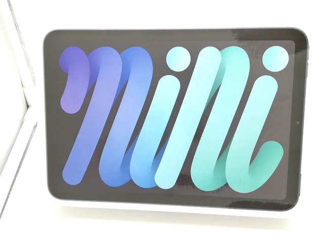 iPad mini (A17Pro) 256GB Wifi フルセット iPad Mini A17Pro 256GB