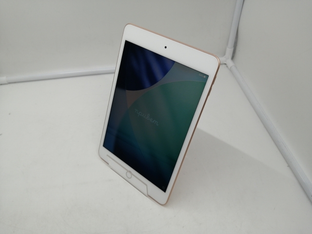 中古】Apple 【Wi-Fi】 iPad mini（第5世代/2019） 64GB スペース 