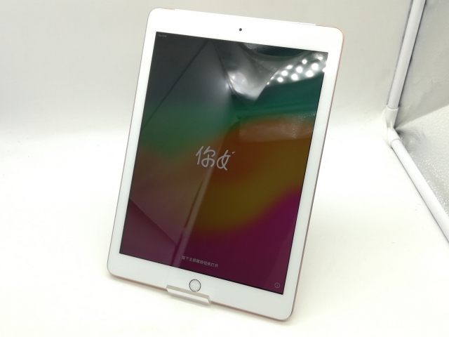 iPad第6世代32GB docomo SIMロック解除済 A1954 セルラー オ