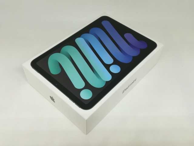 Apple iPad mini 第7世代 a17pro スペースグレー256GB iPad mini